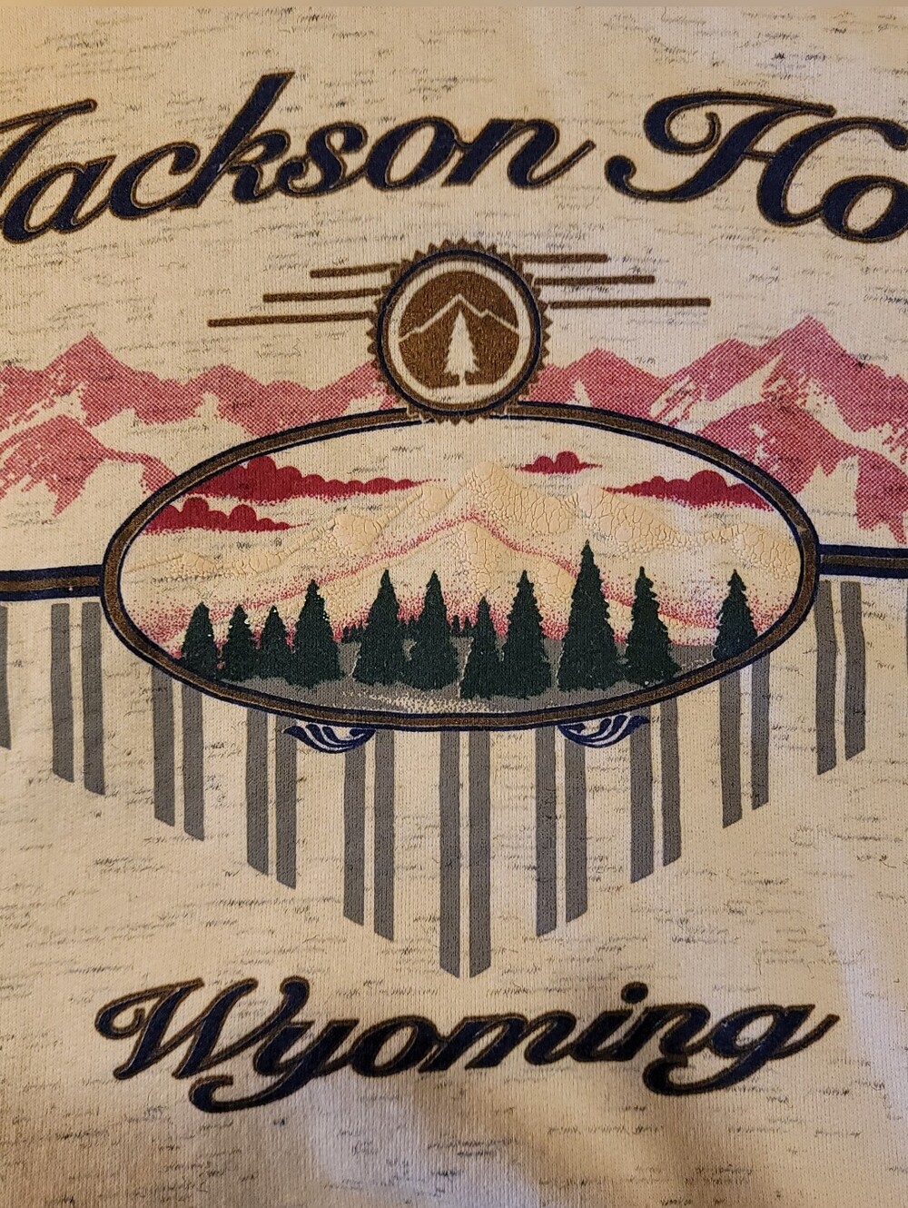 Vtg DiPORT USA Jackson Hole Wyoming Hoodie